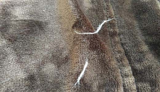 布団についた猫の抜け毛の掃除方法…ゴム手袋で簡単に取れる！