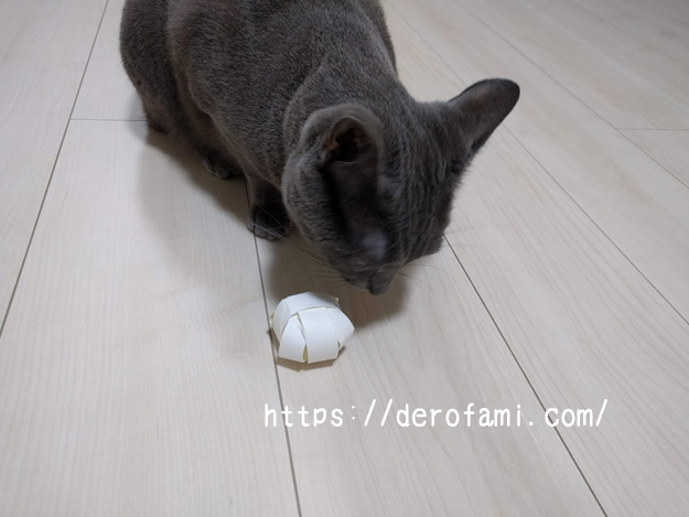猫のおもちゃがトイレットペーパーの芯で簡単に作れる ボールが好きなネコにおすすめ ねこほう